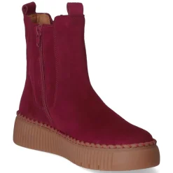 Chelsea Boots - bordeaux (El.uni)