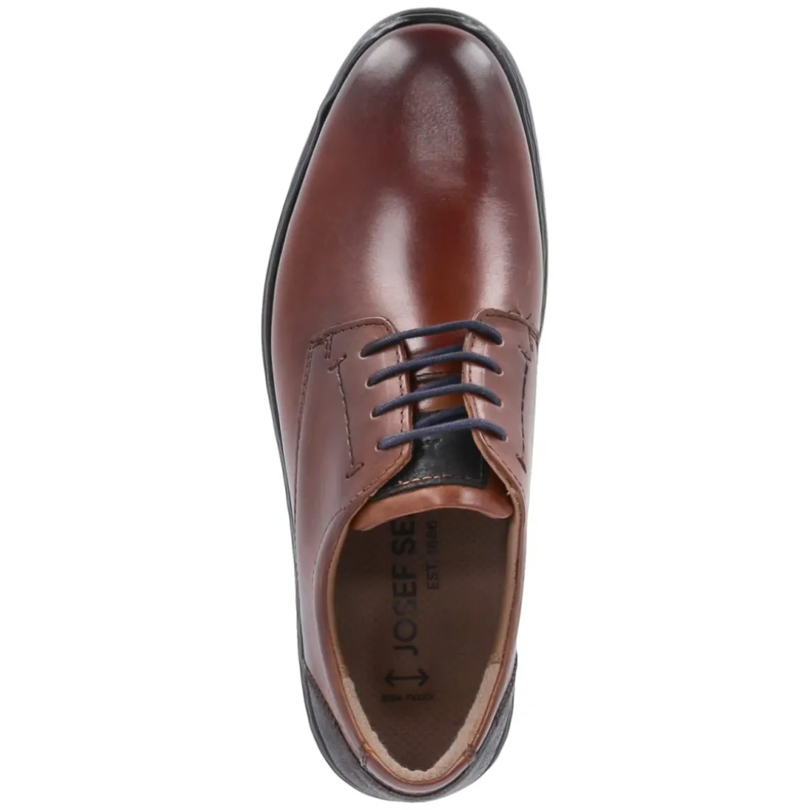 Halbschuhe ALASTAIR 01 - COGNAC-KOMBI