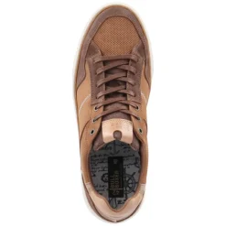 Low Sneaker - Cognac