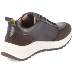 Low Sneaker - dark brown / brown