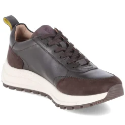 Low Sneaker - dark brown / brown
