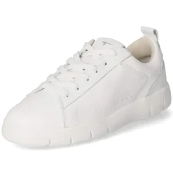 Low Sneaker - WHITE LEATHER