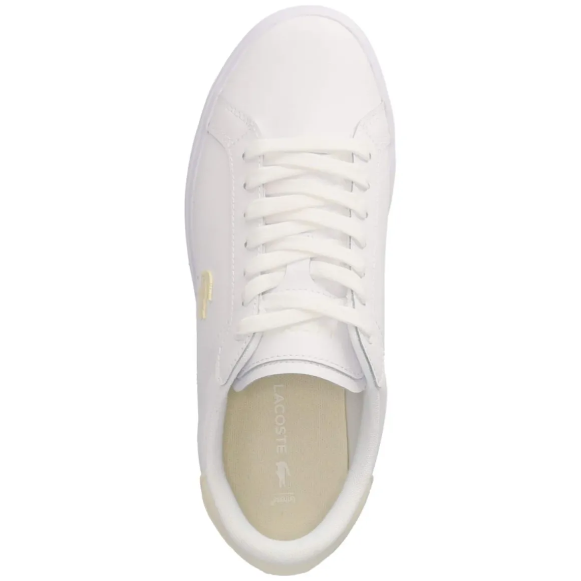 Low Sneaker POWERCOURT - WHT/OFF WHT