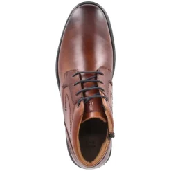 Stiefeletten ALASTAIR 17 - Cognac